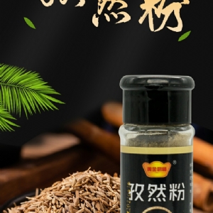 Cumin powder