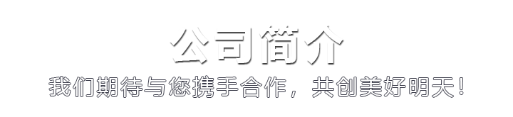 公司簡(jiǎn)介